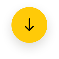 icon-arrow-bottom